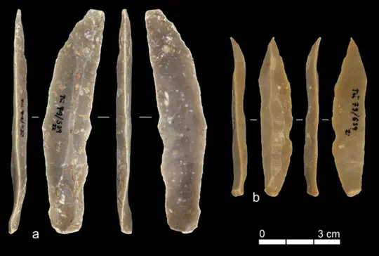 Reevaluating the Early Upper Paleolithic Sequence at Ksâr ‘Akil, Lebanon (Layers XX-XIB)