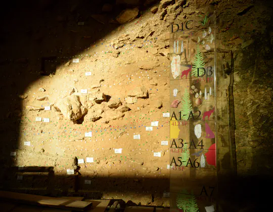 Investigating Early Upper Paleolithic technological variability and cultural dynamics south of the Alps