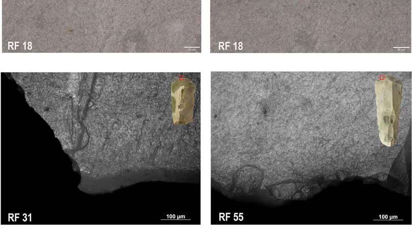 Scraping hide in the early Upper Paleolithic: Insights into the life and function of the Protoaurignacian endscrapers at Fumane Cave