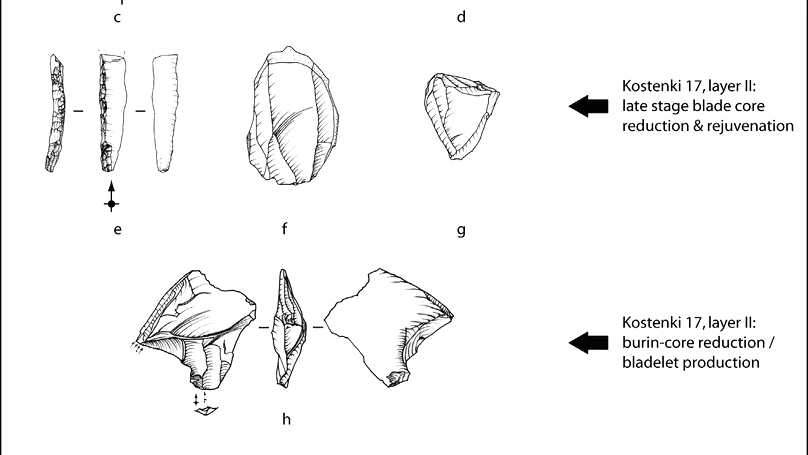 Technological differences between Kostenki 17/II (Spitsynskaya industry, Central Russia) and the Protoaurignacian: Reply to Dinnis et al. (2019)
