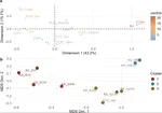 Ex Oriente Lux? A quantitative comparison between northern Ahmarian and Protoaurignacian