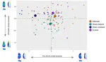 The contribution of integrated 3D model analysis to Protoaurignacian stone tool design