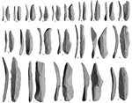 Bringing shape into focus: Assessing differences between blades and bladelets and their technological significance in 3D form