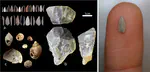 A pre-Campanian Ignimbrite techno-cultural shift in the Aurignacian sequence of Grotta di Castelcivita, southern Italy