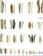 Tracking the emergence of the Upper Palaeolithic in western Asia and Europe: A Multiple Correspondence Analysis of Protoaurignacian and Southern Ahmarian lithics
