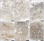 The Upper Sedimentary Sequence of Grotta di Fumane, Northern Italy: A Micromorphological Approach to Study Imprints of Human Occupation and Paleoclimate Change