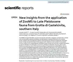 New insights from the application of ZooMS to Late Pleistocene fauna from Grotta di Castelcivita, southern Italy