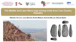 Continuity in ochre mining technology across the Middle and Later Stone Age of southernmost Africa: Three‑dimensional insights from Lion Cavern (Eswatini)
