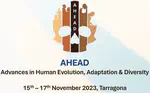 Searching for solid and replicable frameworks in stone tool analysis: A discussion surrounding recent achievements and standing challenges